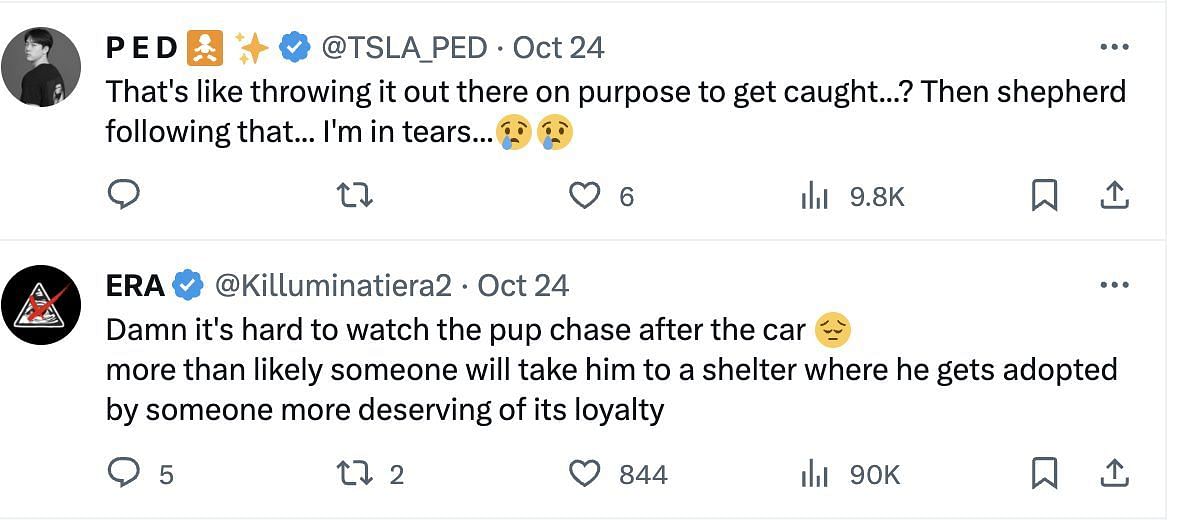 Social media users left all teary after a resurfaced video of a Dallas man abandoning his canine went viral (Image via X)