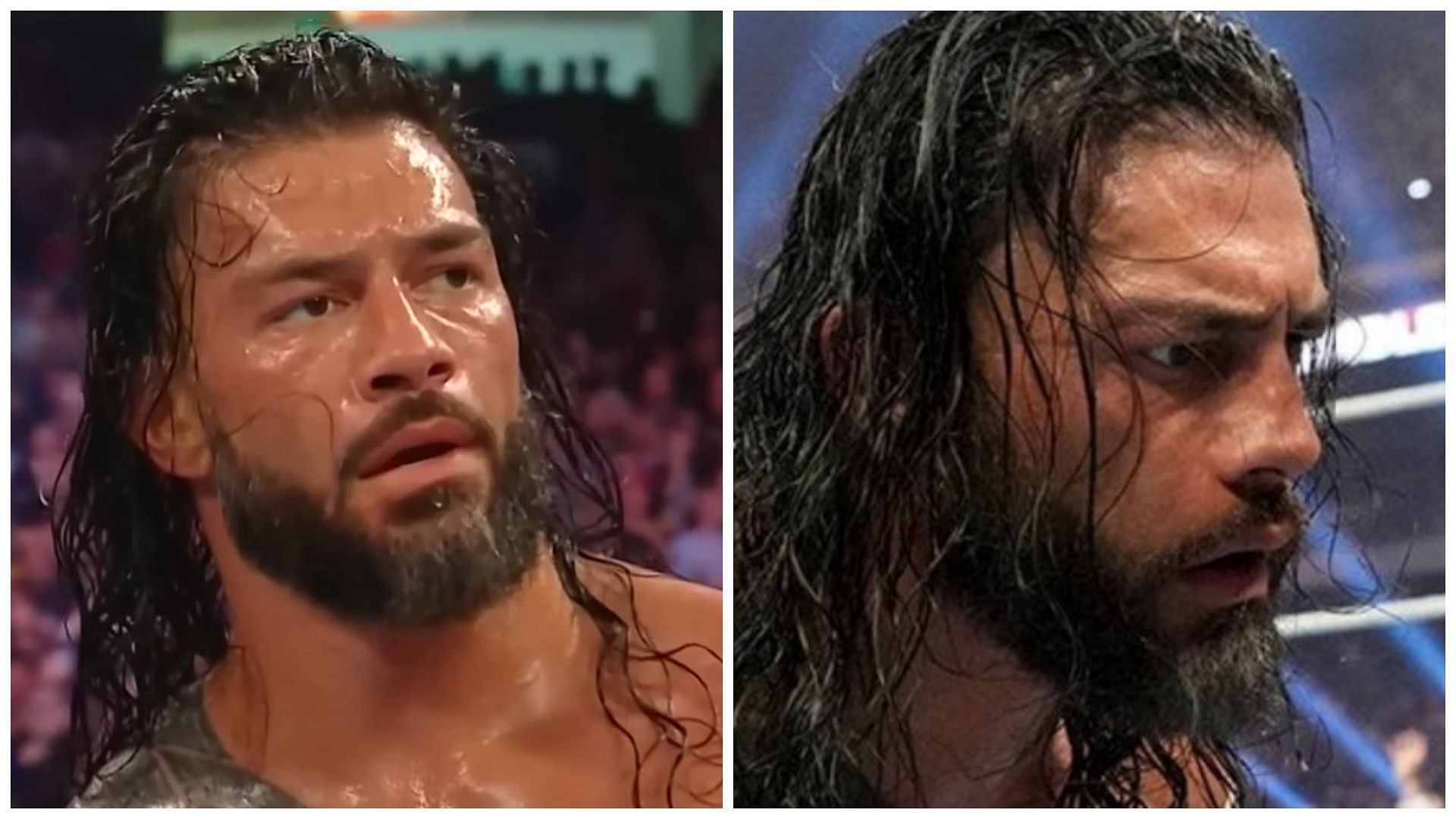 Roman Reigns is the longest reigning WWE Undisputed Universal Champion.