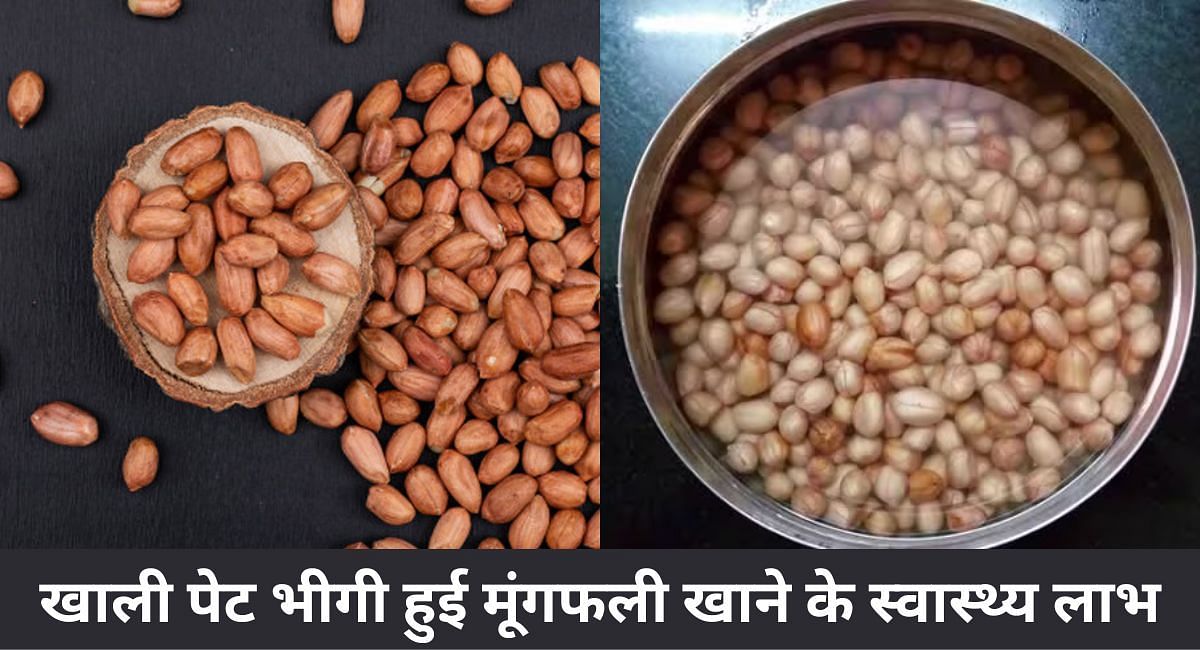 खाली पेट भीगी हुई मूंगफली खाने के स्वास्थ्य लाभ(फोटो-Sportskeeda hindi)
