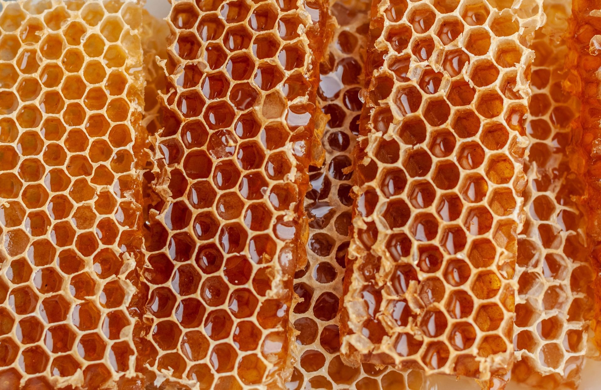 Honey (Image via Unsplash/Cristina)