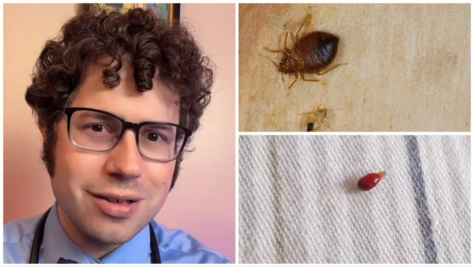 Dr. Zachary Rubin provides tips to deal with bedbugs, amidst Paris infestation (Image via X/@Ramy_Sawma, @mbdailyshow, TikTok/@rubin_allergy)