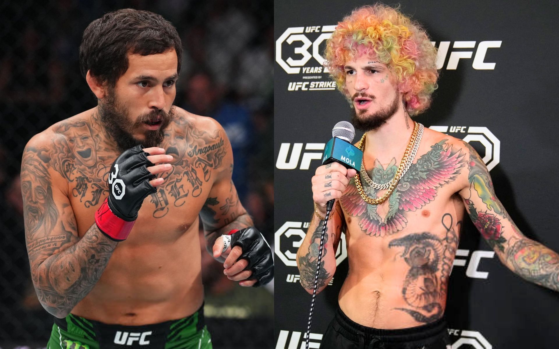 Marlon Vera: "I got so lucky, it's crazy - Sean O'Malley says he received  a DM from Marlon Vera after their UFC 299 fight announcement