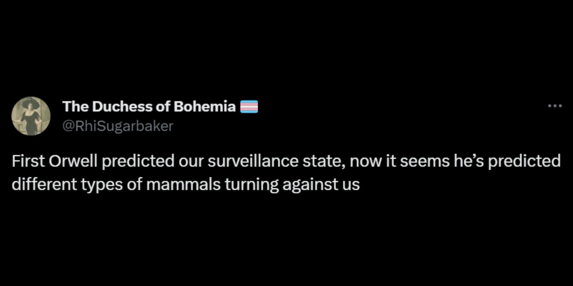 Social media users react to the feral animals&#039; threat of invading the United States. (Image via X/@ABC)