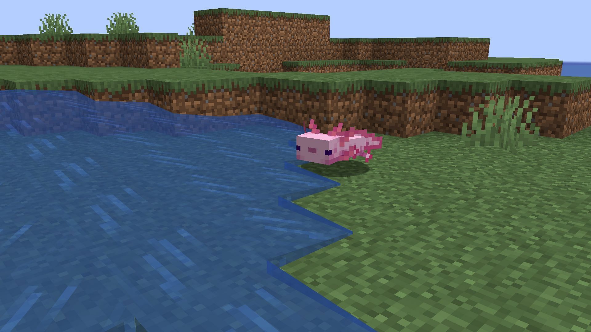 Axolotls are interesting creatures that can live both in water and on land in Minecraft (Image via Mojang)
