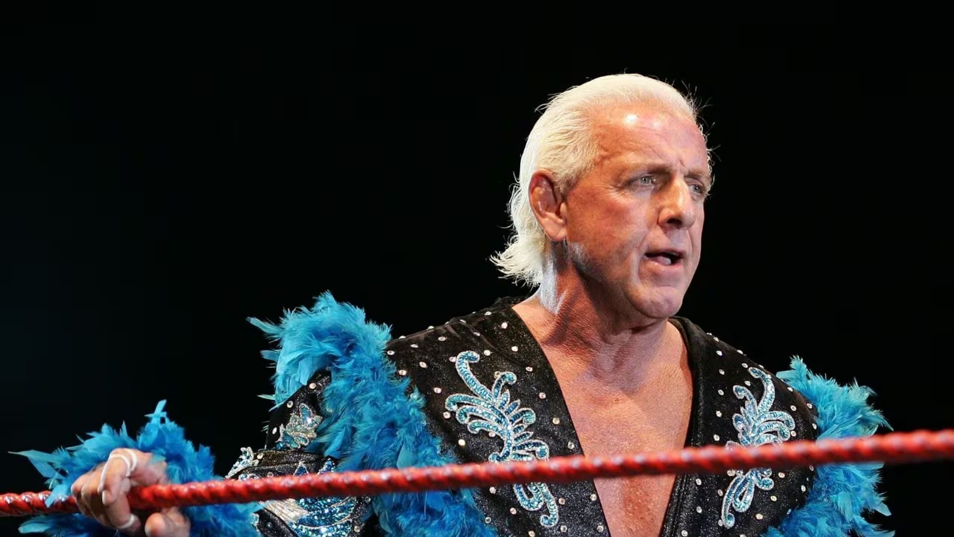 Ric Flair is a two-time WWE Hall of Famer