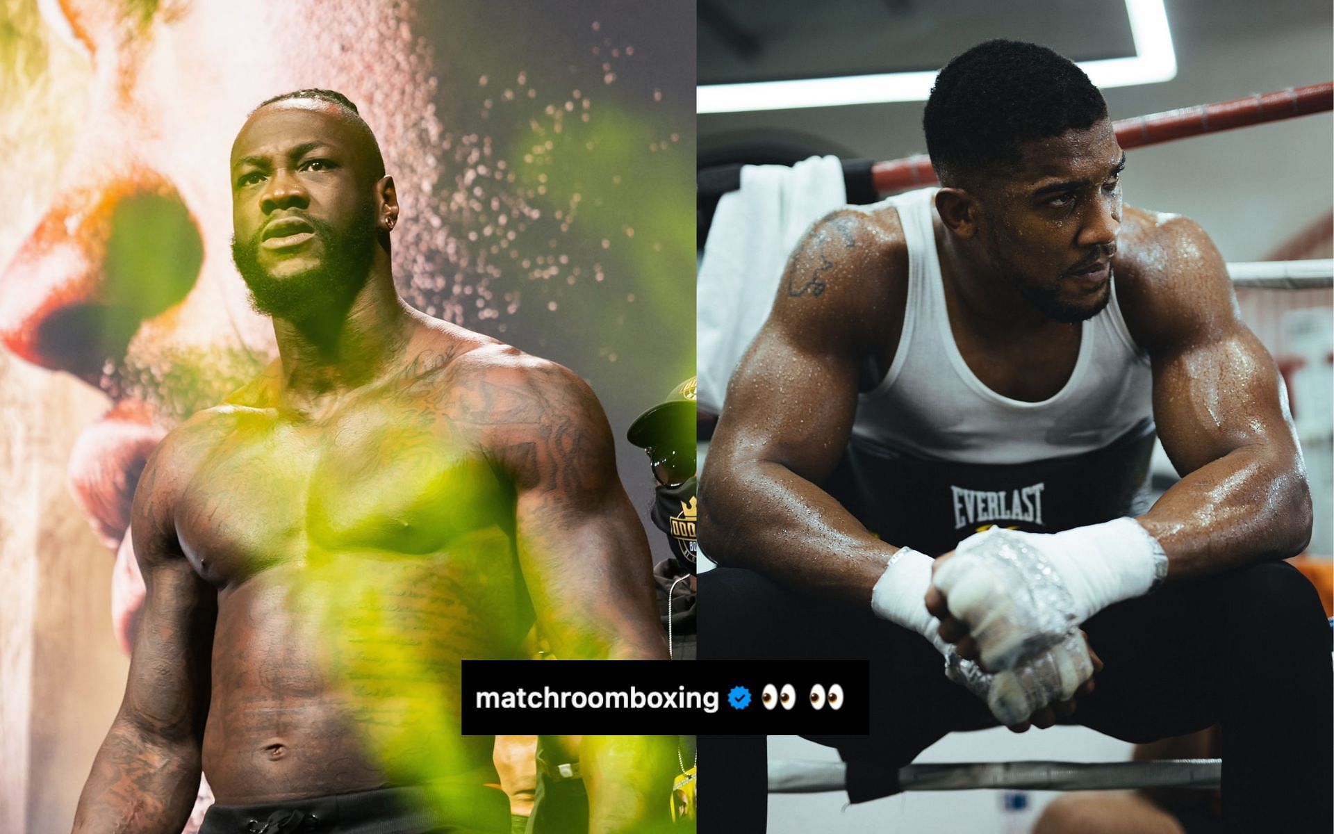 Deontay Wilder, Anthony Joshua (Image Courtesy - @bronzebomber, @anthonyjoshua on X/Twitter)