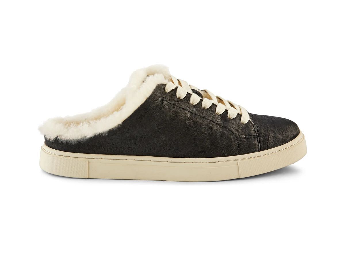 The Ivy Genuine Shearling sneaker mule (Image via Nordstrom)