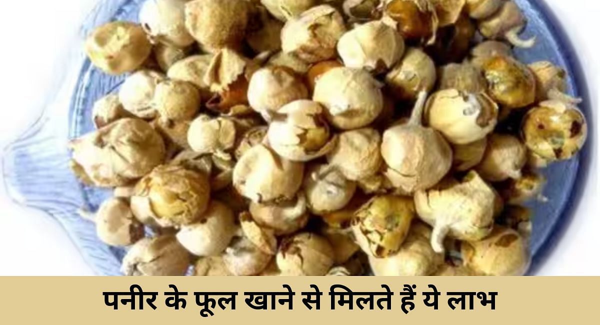 पनीर के फूल खाने से मिलते हैं ये लाभ(फोटो-Sportskeeda hindi)
