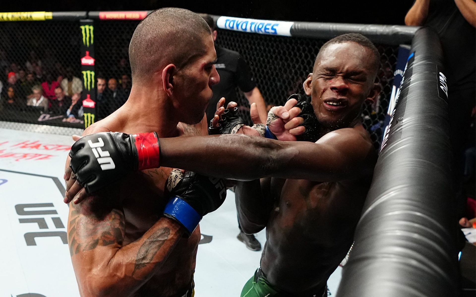Alex Pereira during the UFC 281 knockout sequence (Image via @UFC 