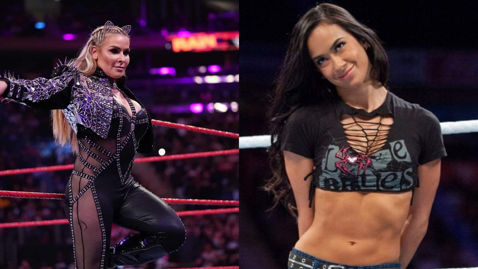 AJ Lee and Natalya are former WWE Divas Champions