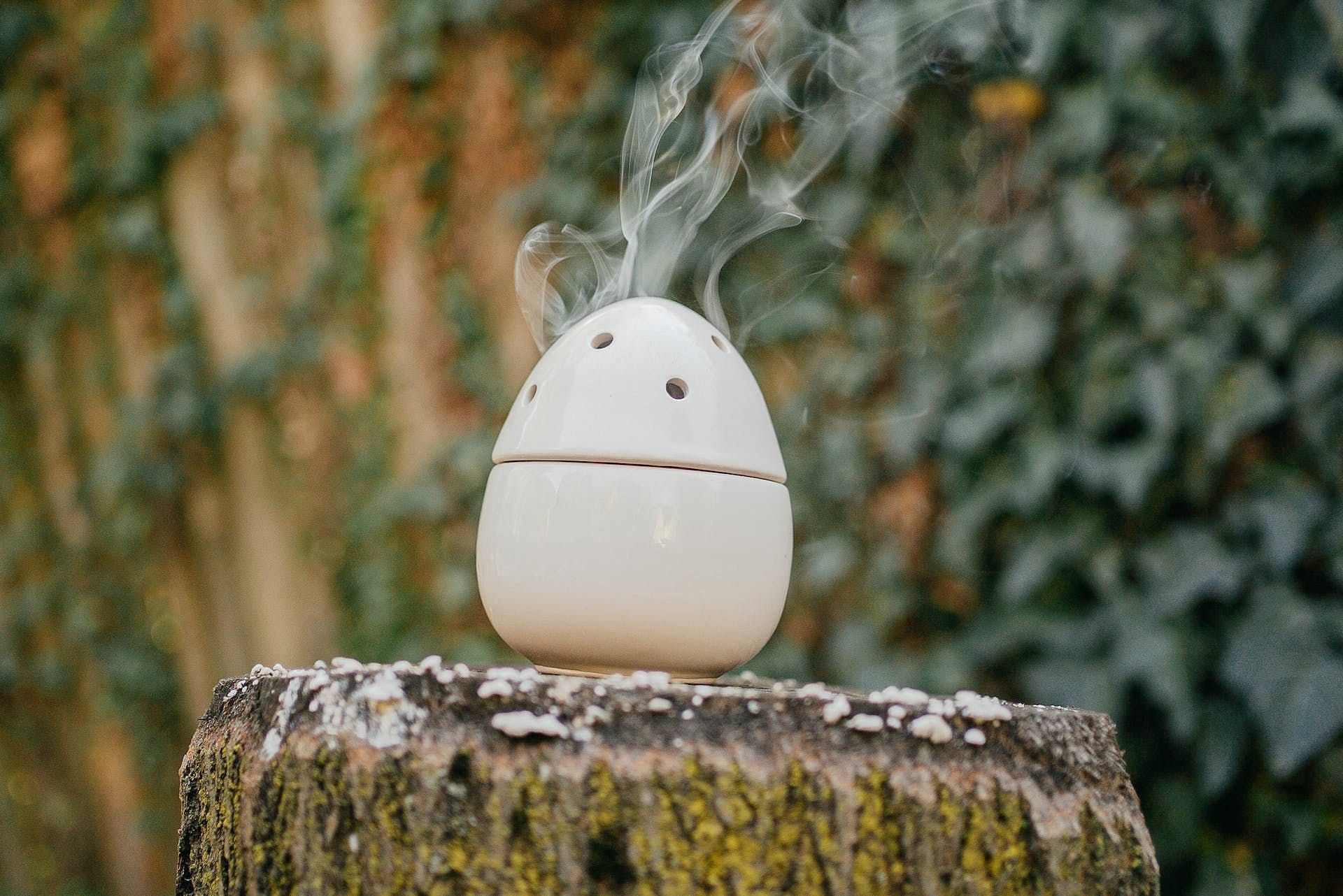 Using a humidifier loosens the mucus. (Image via Pexels/furkanfdemir)