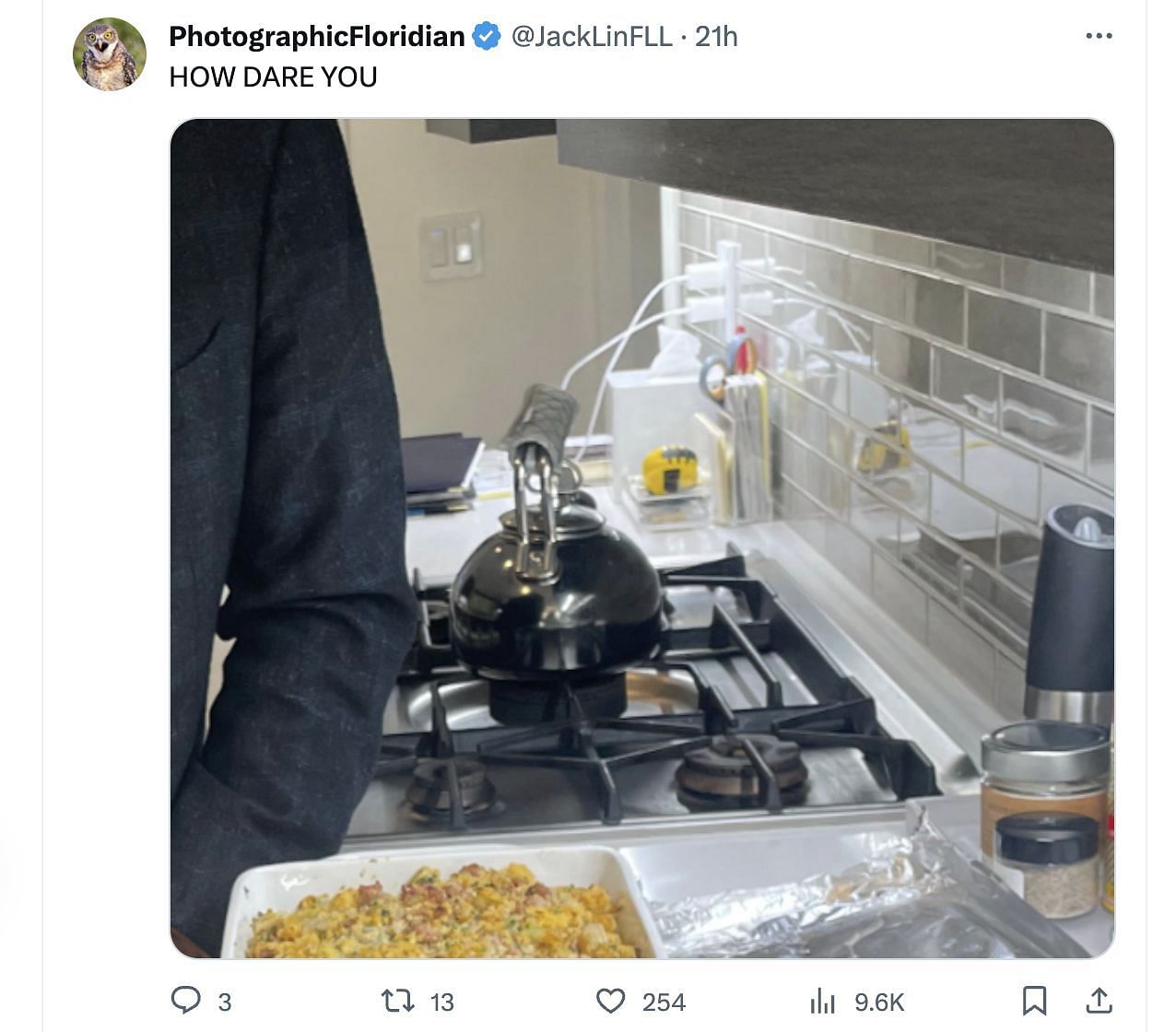 Social media users bashed Kamala Harris after many spotted a stove in her picture after the government advocated a ban on the same. (Image via @KamalaHarris/ Instagram)