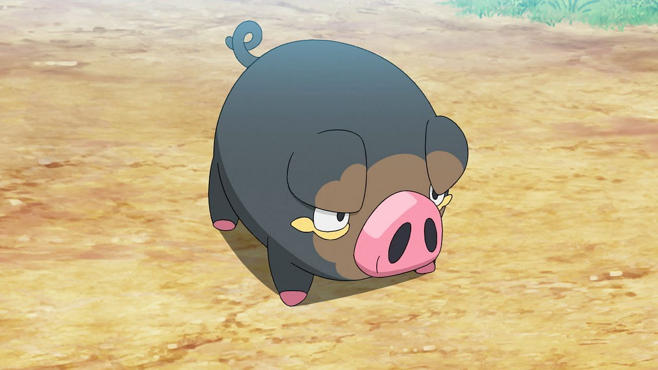 Lechonk as seen in the anime (Image via The Pokemon Company)