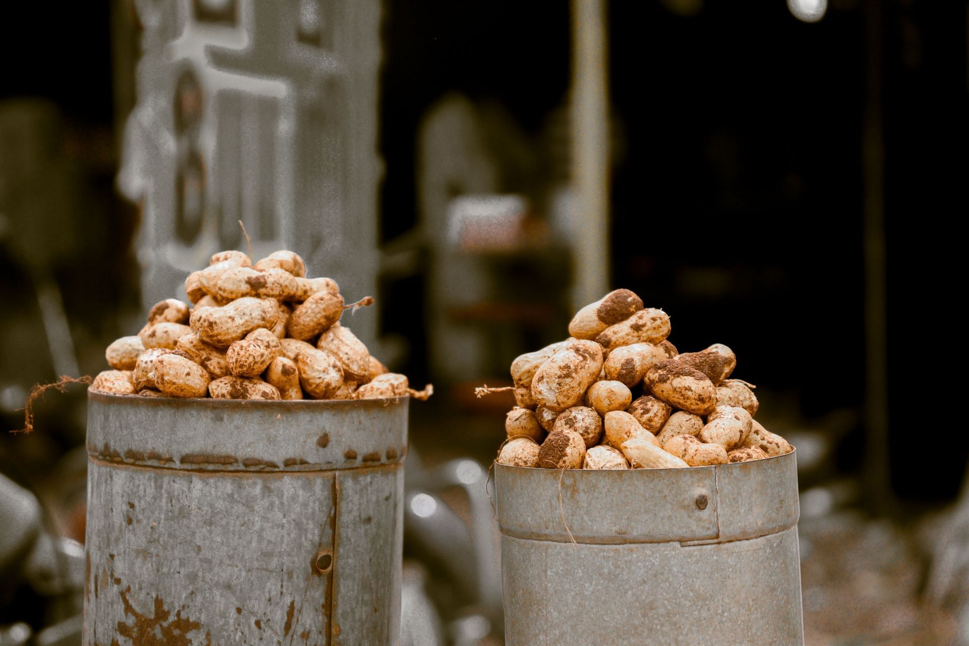 Groundnuts for weight loss. (Image via Unsplash/ Gowtham)