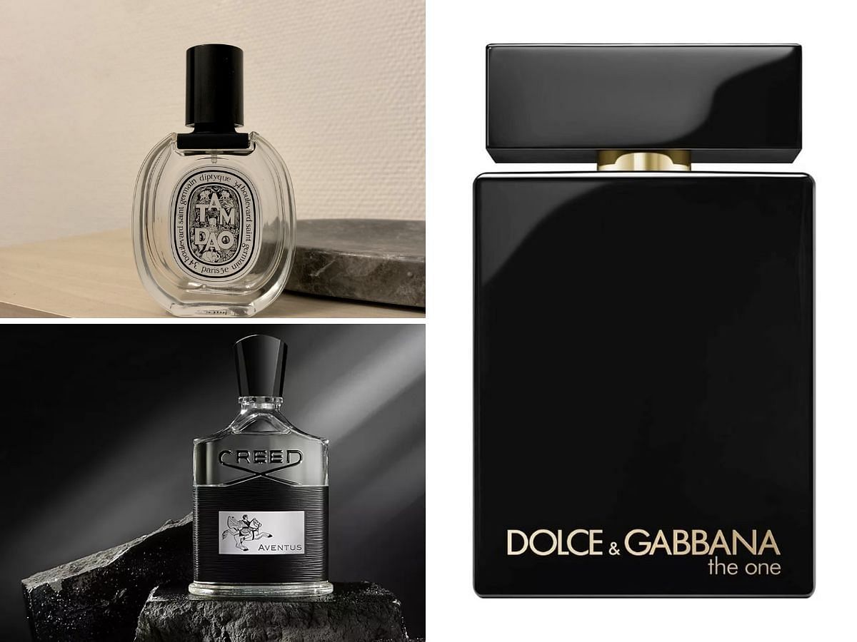 Dior homme intense vs discount dolce and gabbana the one