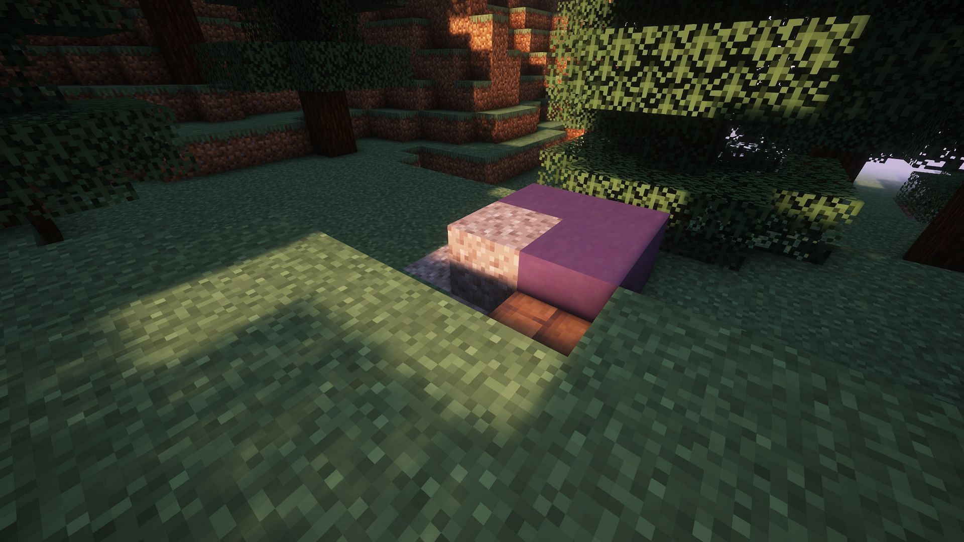 You must first find a trail ruin in Minecraft to have a chance to get Host armor trim (Image via Mojang)