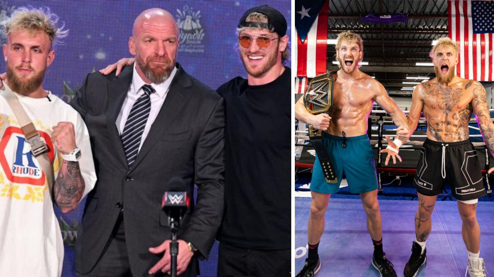 Jake Paul has yet to compete in WWE, unlike his brother Logan Paul