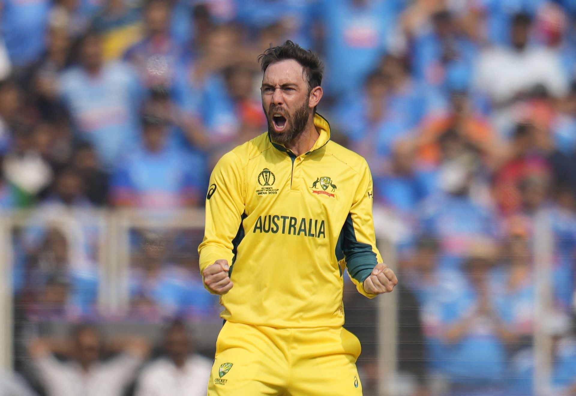 India Cricket WCup