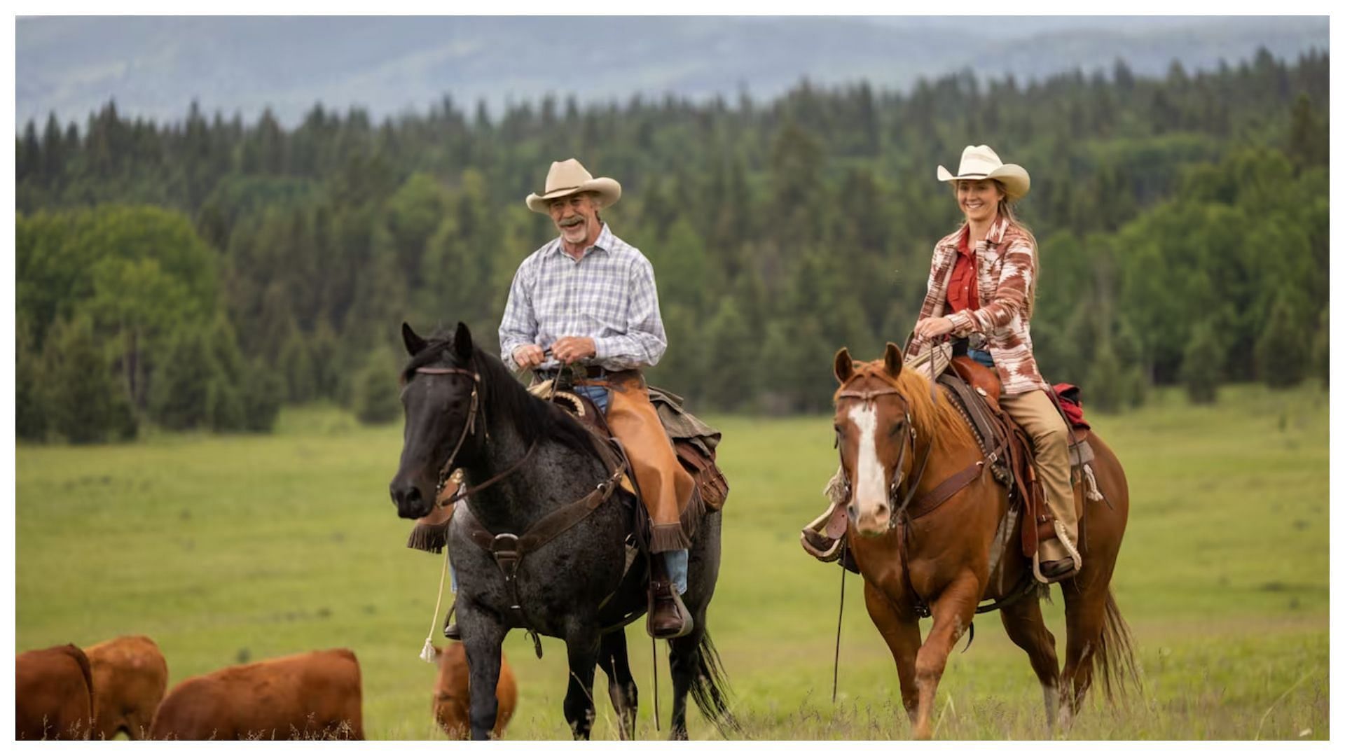 Murray Shostak has developed Heartland. (Photo via CBC)