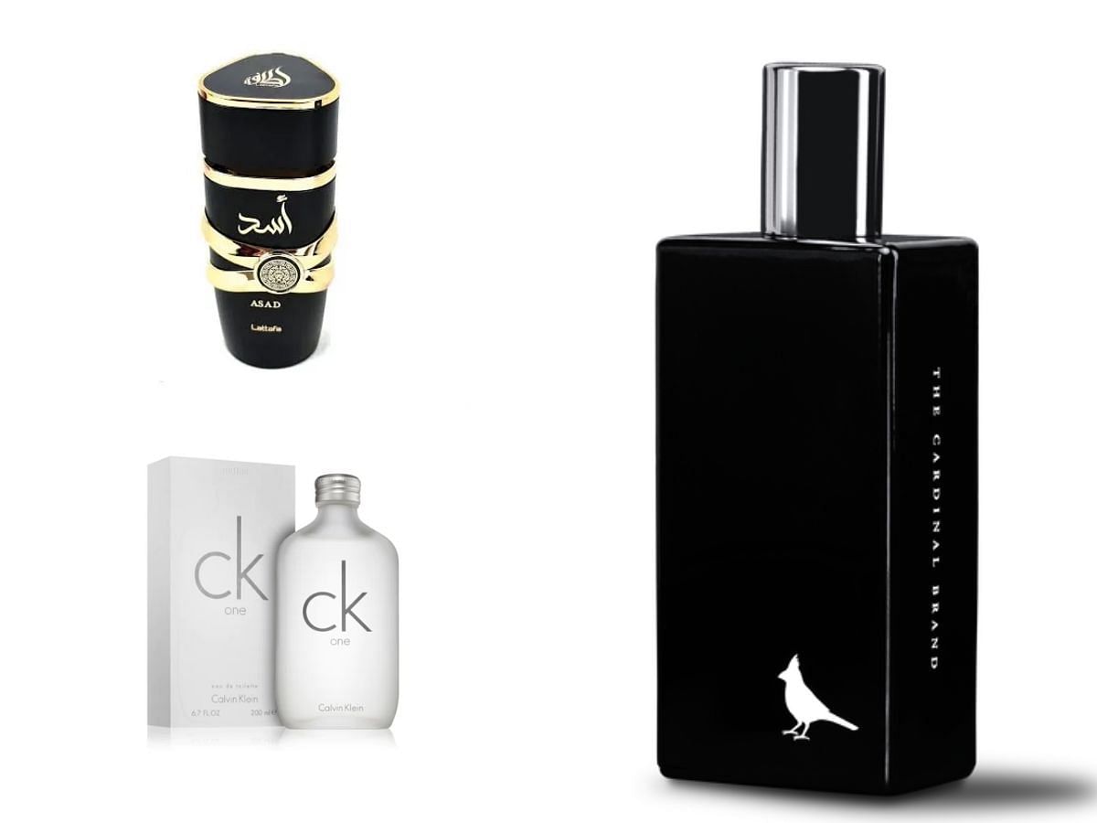 Long-lasting unisex perfumes (Image via Sportskeeda)