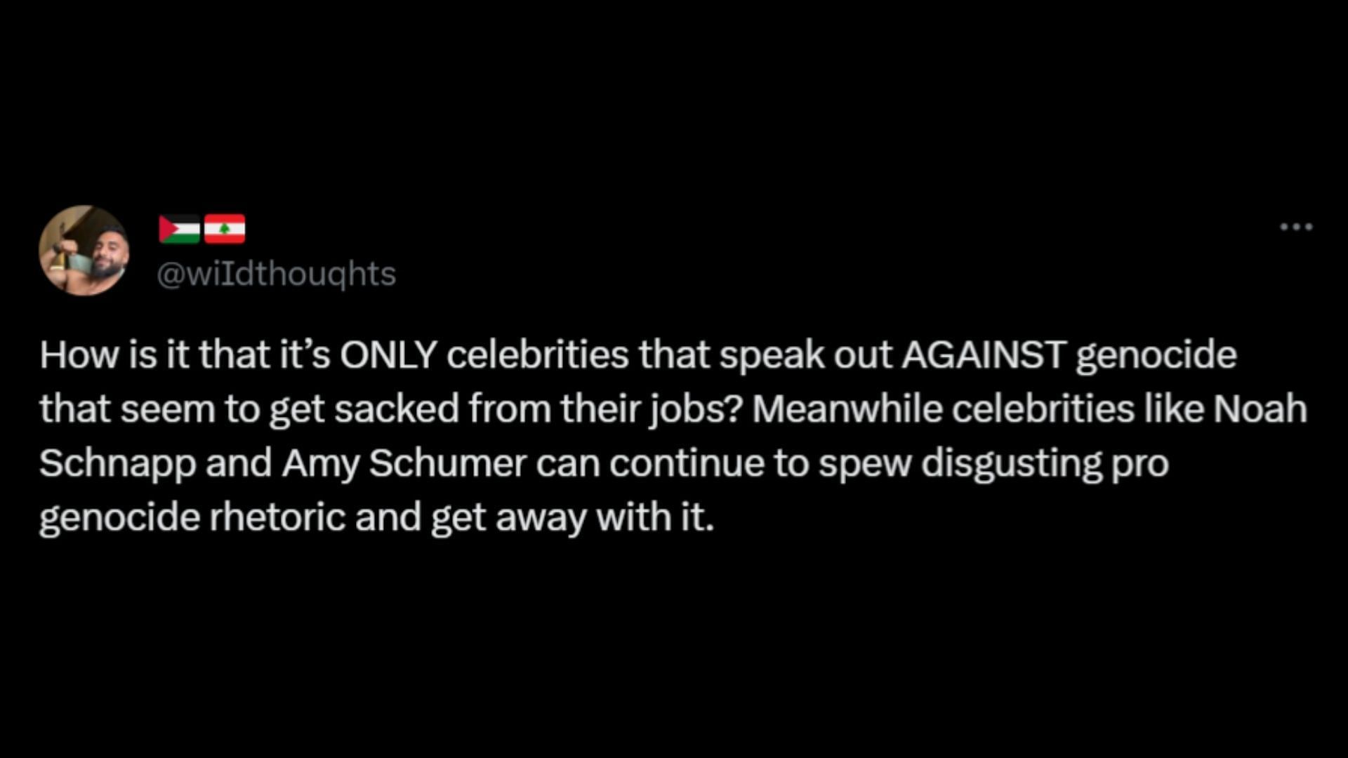 Netizens call out Hollywood for not firing Noah Schnapp or Amy Schumer but dropping Barrera for pro-Palestine posts. (Image via X/@wiIdthouqhts)
