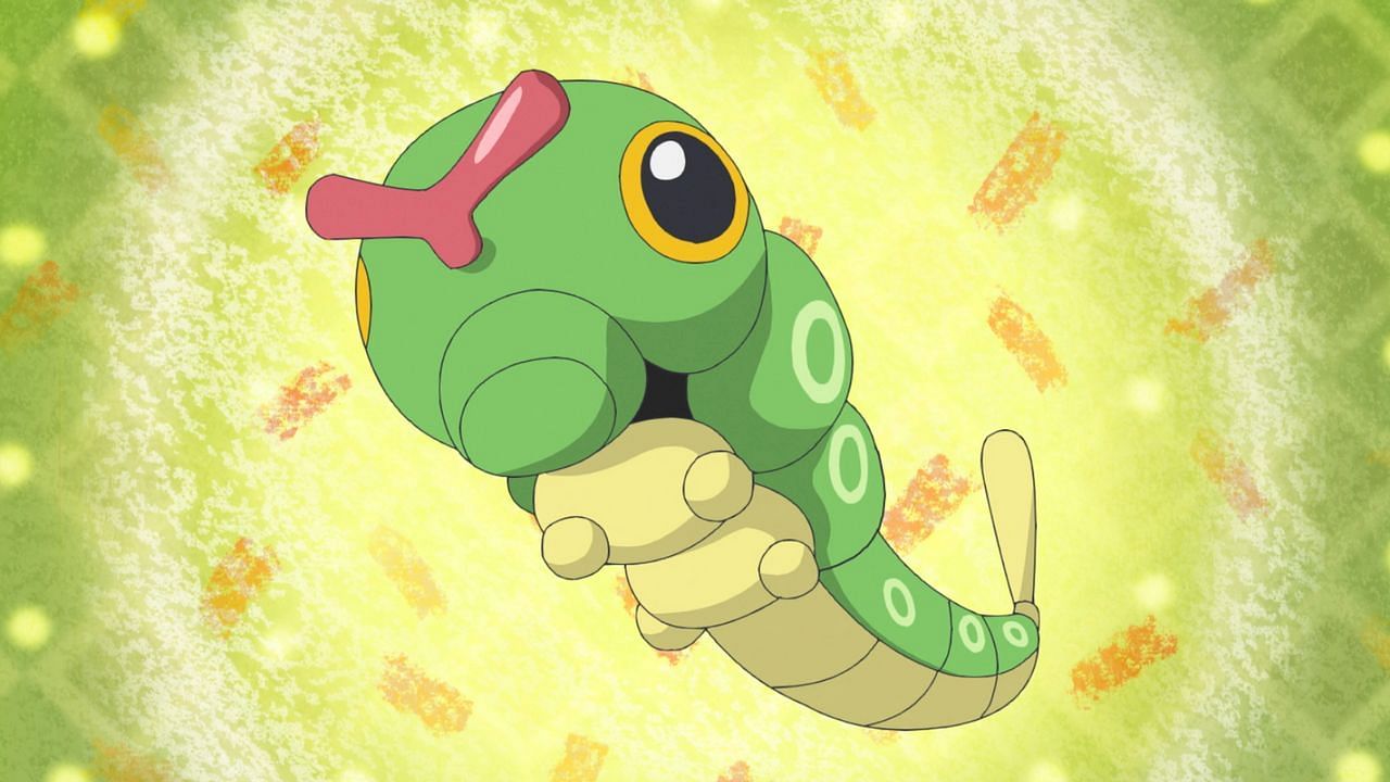 Caterpie as seen in the anime (Image via The Pokemon Company)