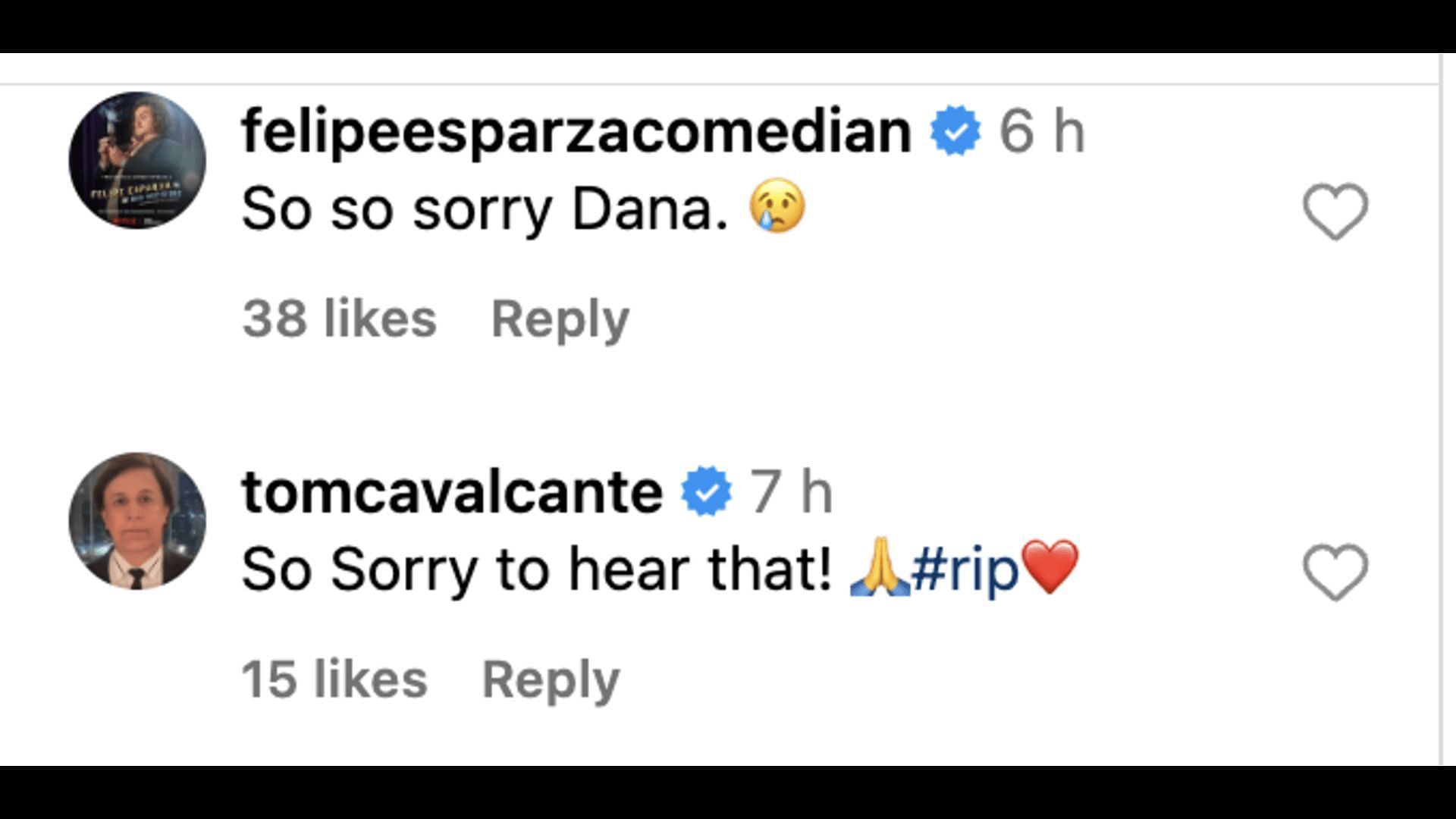 Social media users grieve Dex Carvey&#039;s death. (Image via Instagram/ @thedanacarvey)