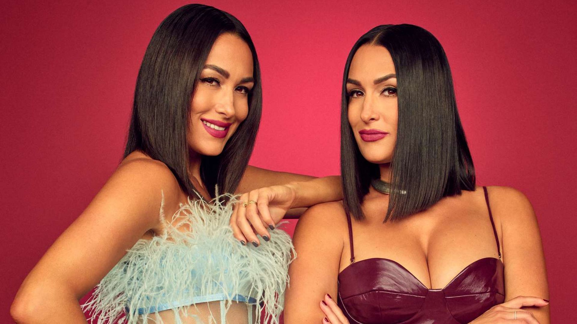 Nikki and Brie Bella are no longer on the roster.