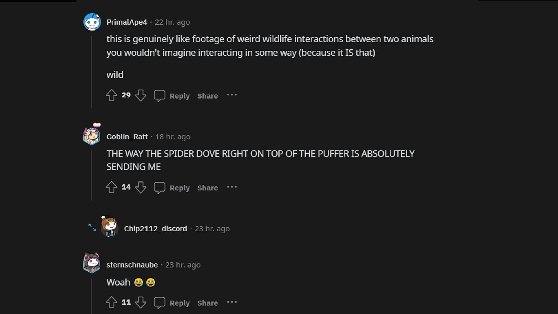 Fans are astonished by how quickly and aggressively the spider beat the pufferfish (Image via Reddit)