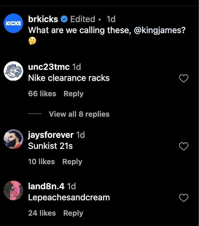 LeBron James fans attempt to name his new shoes.