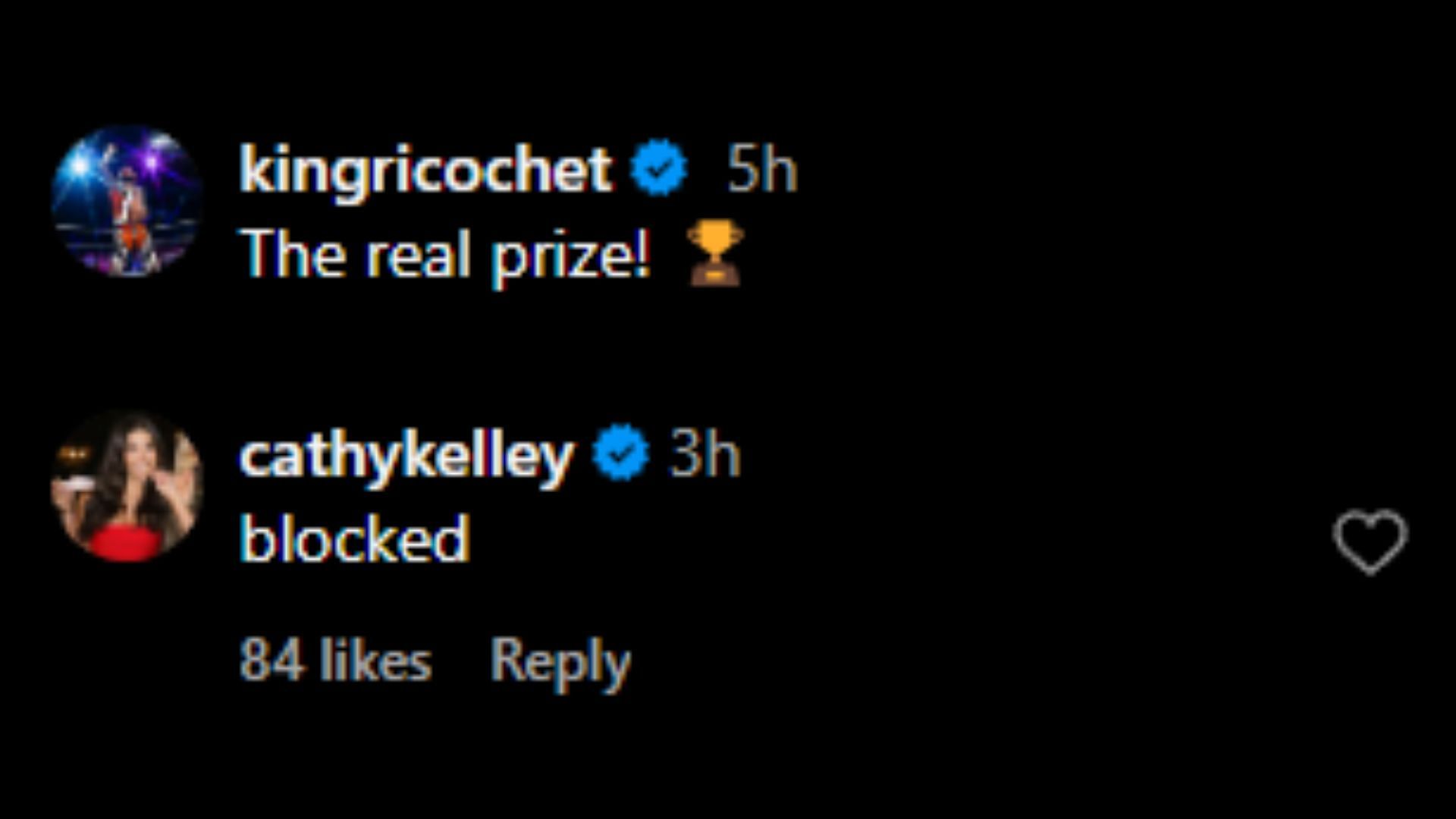Screenshot of Cathy Kelley&#039;s comment under Ricochet&#039;s Instagram post