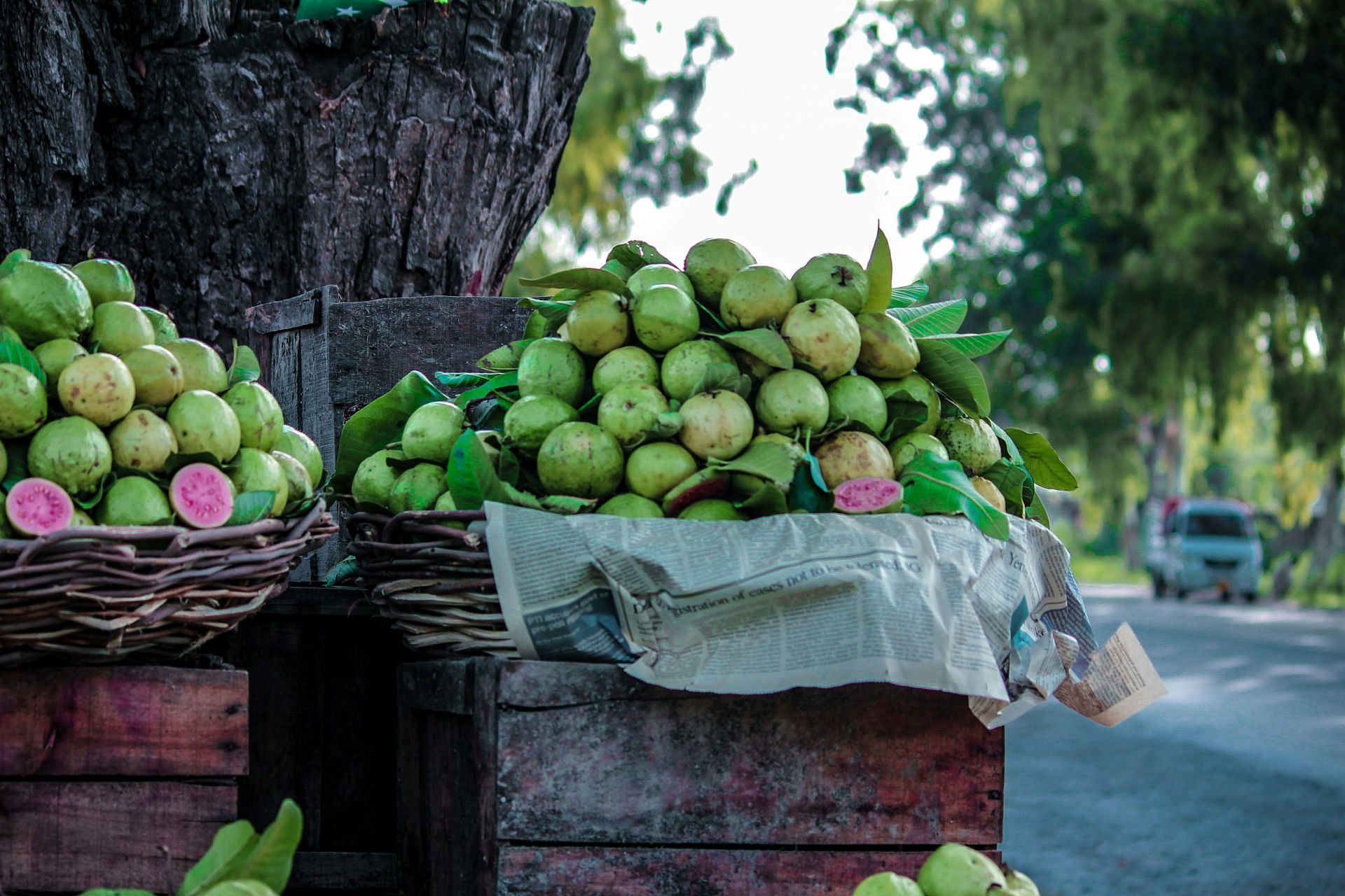 Benefits of guava (Image via Unsplash/Ossama)