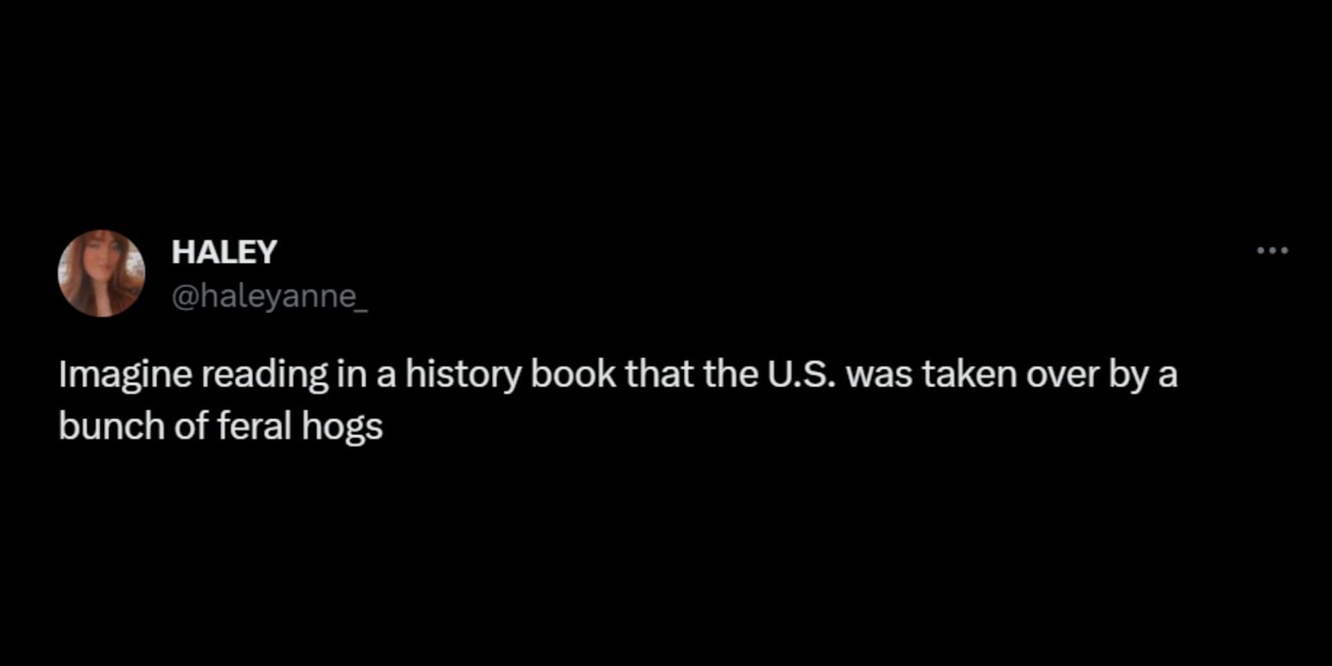 Social media users react to the feral animals&#039; threat of invading the United States. (Image via X/@ABC)