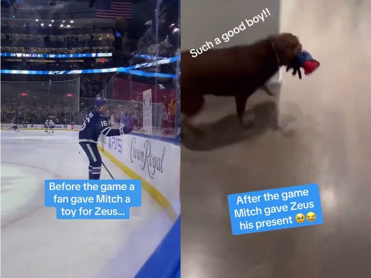 Mitch Marner receives adorable toy for his dog Zeus from Leafs fan