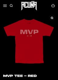 acunajr13.com/website