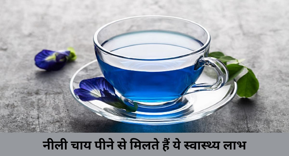 नीली चाय पीने से मिलते हैं ये स्वास्थ्य लाभ(फोटो-Sportskeeda hindi)
