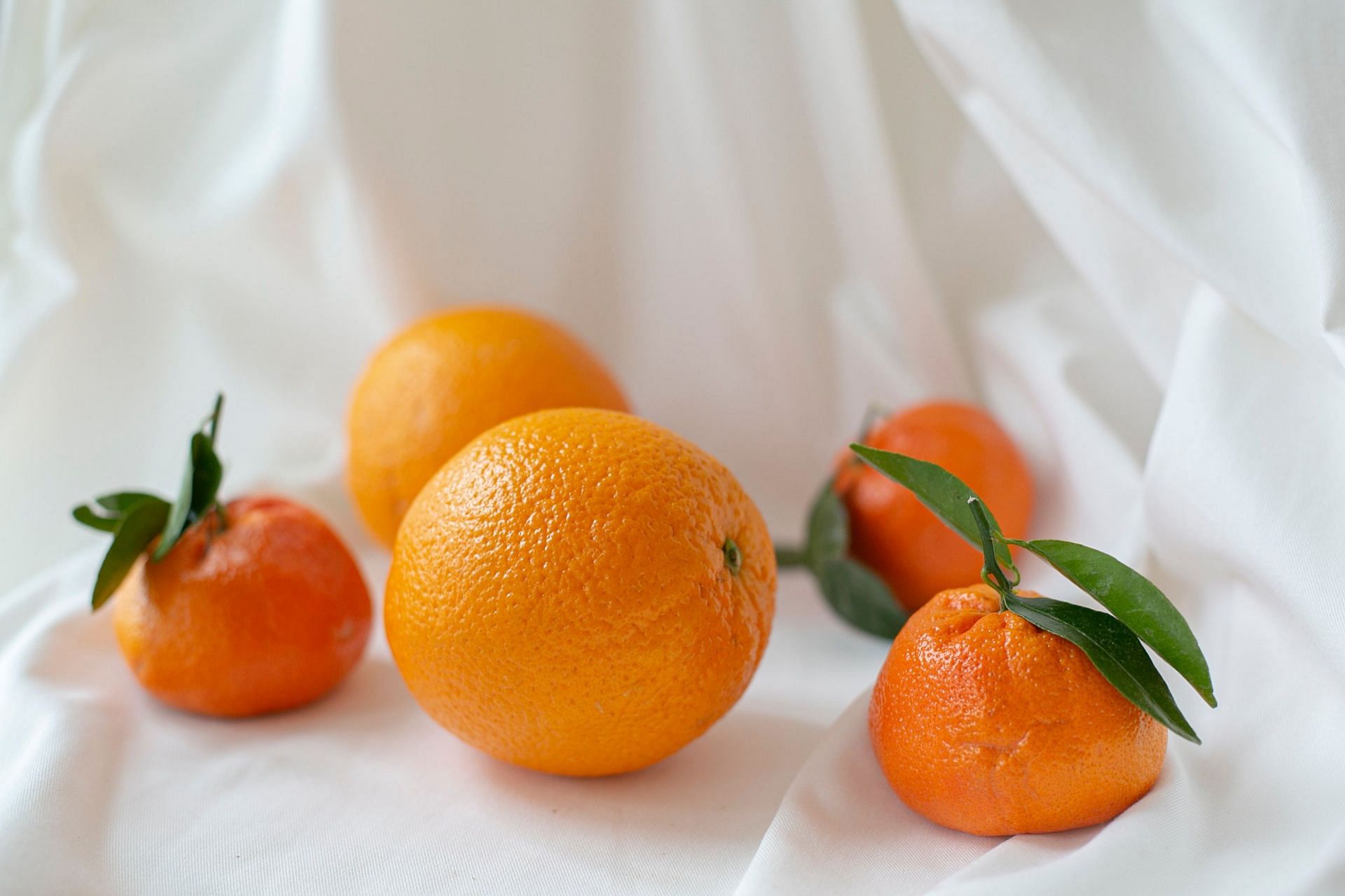 Citrus Fruits (Image via Unsplash/Evie)