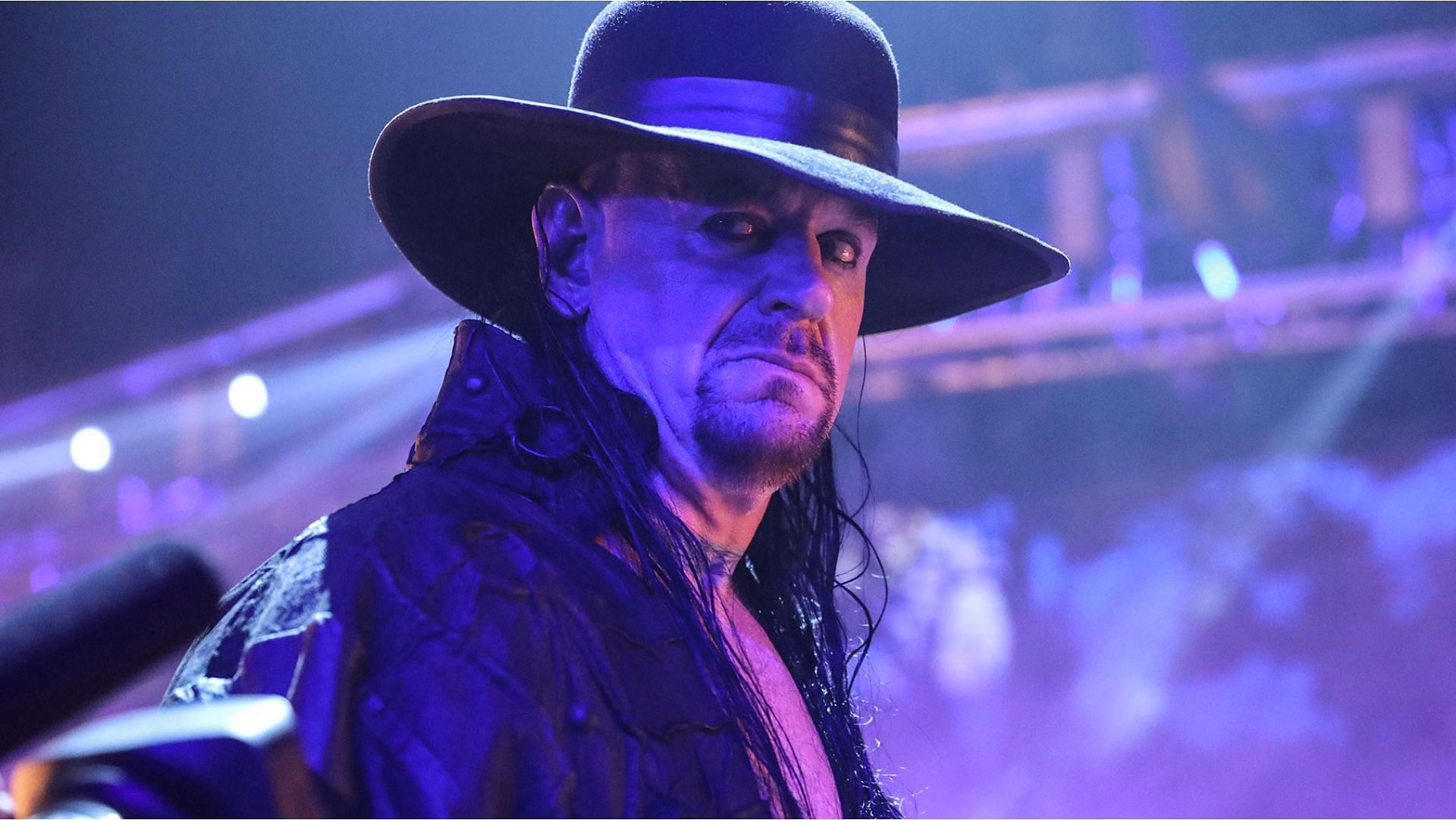 the undertaker sting wwe