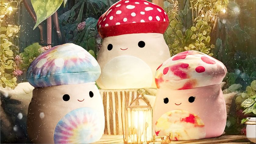 Warren Buffett: Couple Behind Squishmallows Are 'Ideal Berkshire Managers