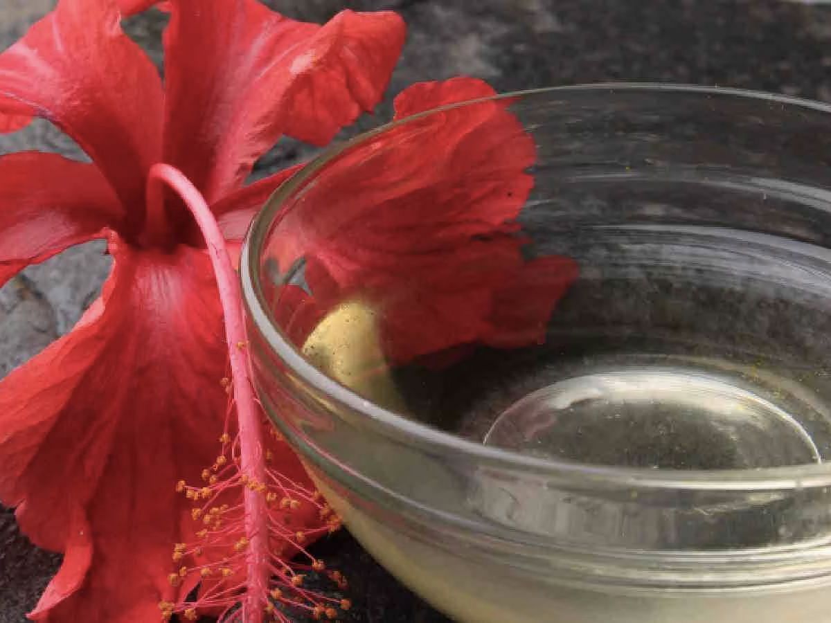 DIY Cedarwood and hibiscus oil (Image via Freepik)