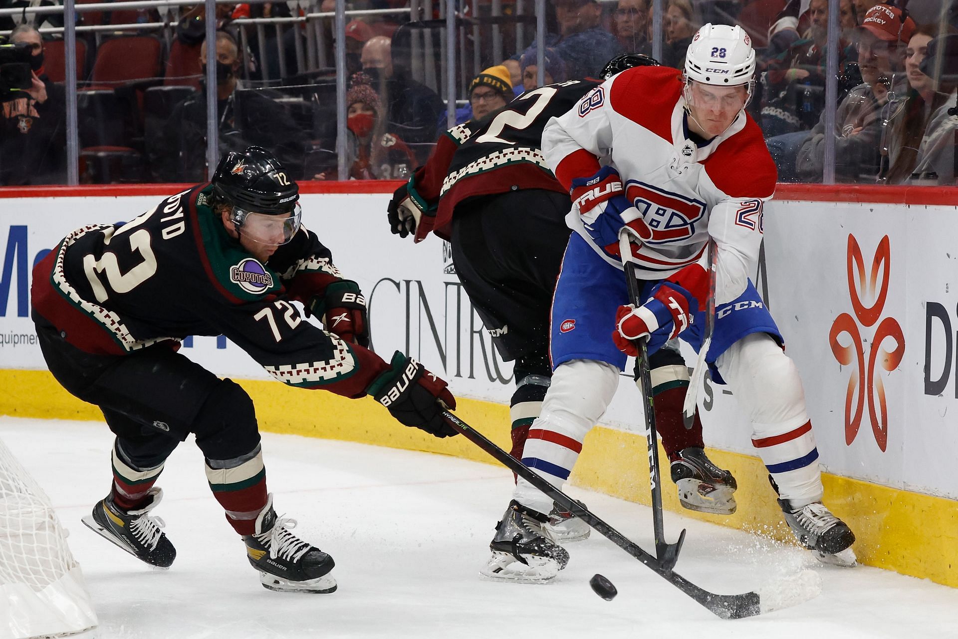 Montreal Canadiens vs Arizona Coyotes Game Preview, Lines, Odds