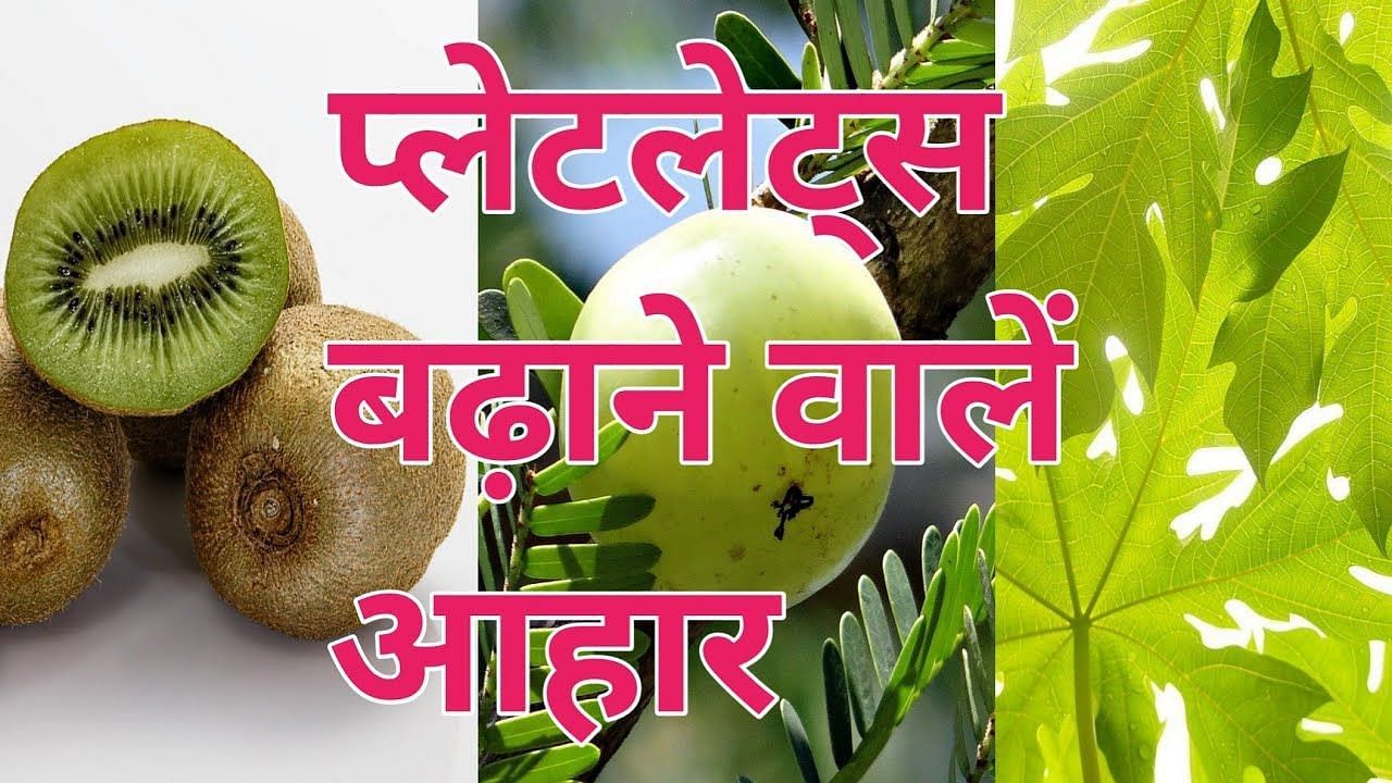 प्लेटलेट्स बढ़ाने वाले फल (sportskeeda Hindi) 