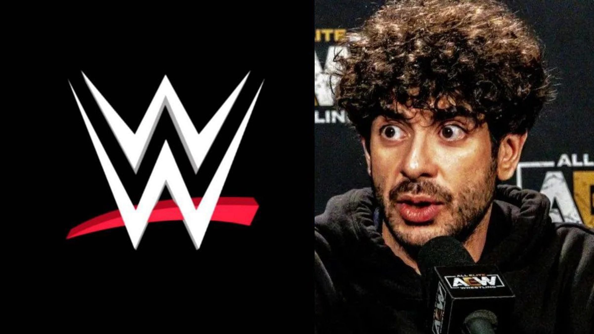 Tony Khan is the president of All Elite Wrestling