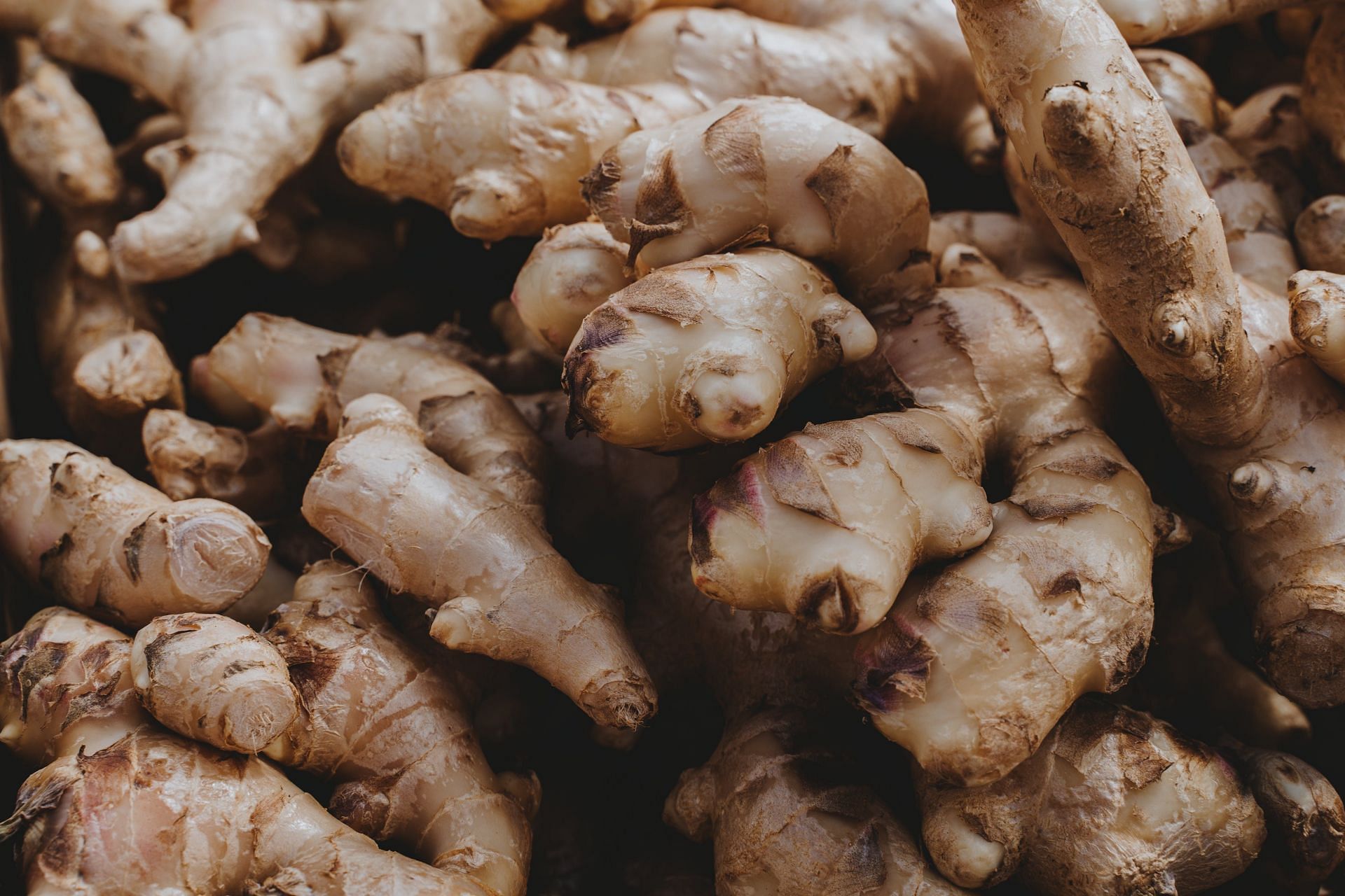 dry ginger vs fresh ginger  (image sourced via Pexels / Photo by alesia)