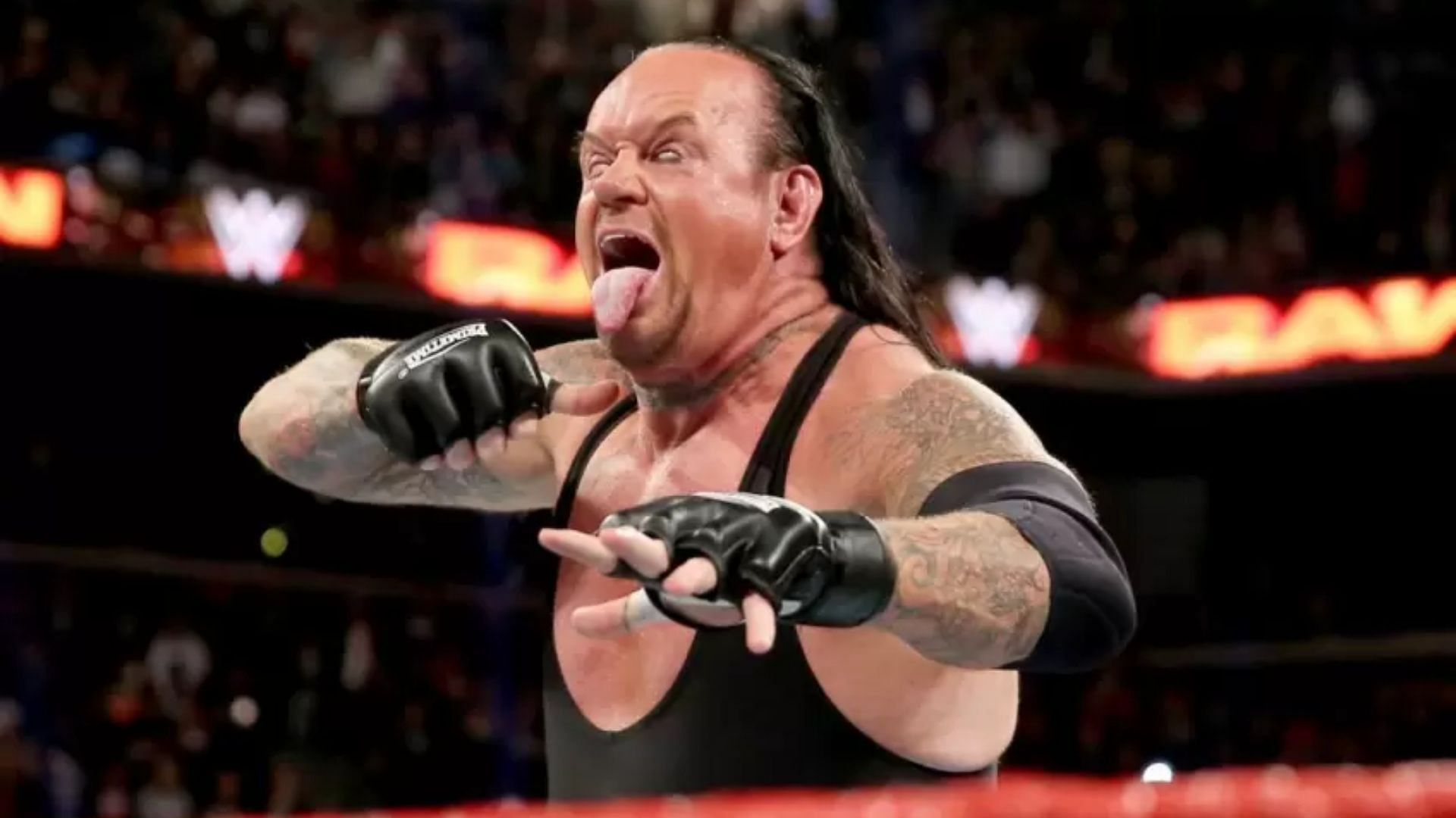 the undertaker angry wwe