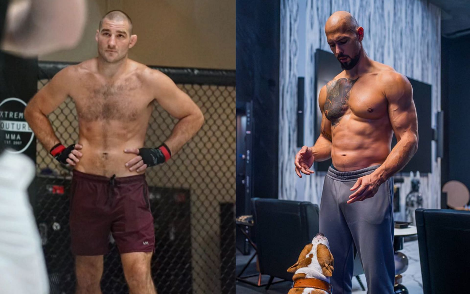 Sean Strickland (Left) and Andrew Tate (Right) (Images Courtesy: @stricklandmma Instagram and @Cobratate 