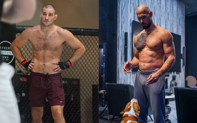 "I would think that those two guys would agree on a lot of things" - Anthony Smith finds Sean Strickland going after Andrew Tate often, 'weird'