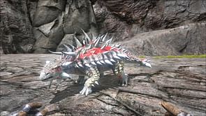 ARK Survival Ascended Ankylosaurus taming guide
