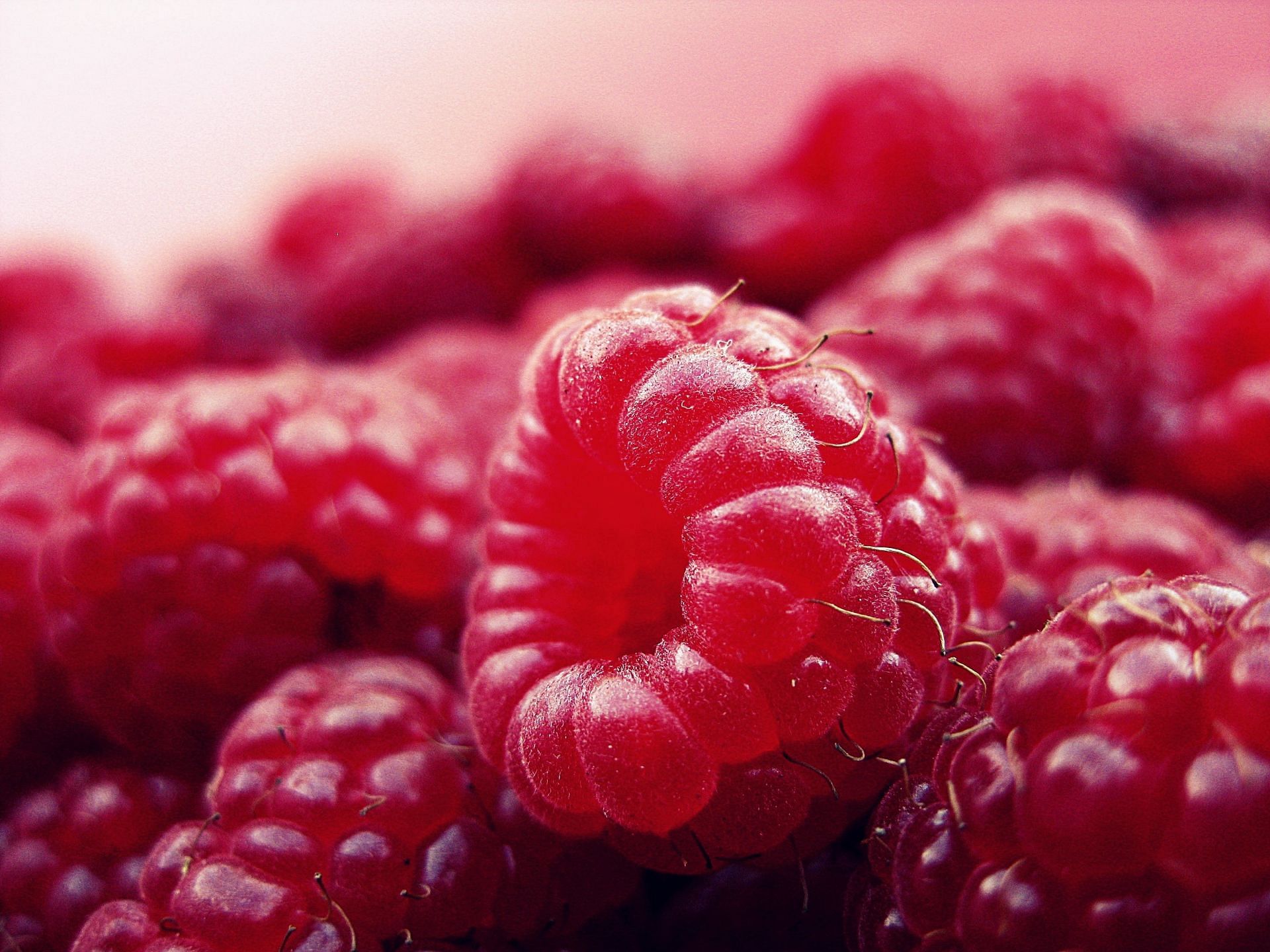 Eating to help anxiety via berries (image sourced via Pexels / Photo by Pixabay)