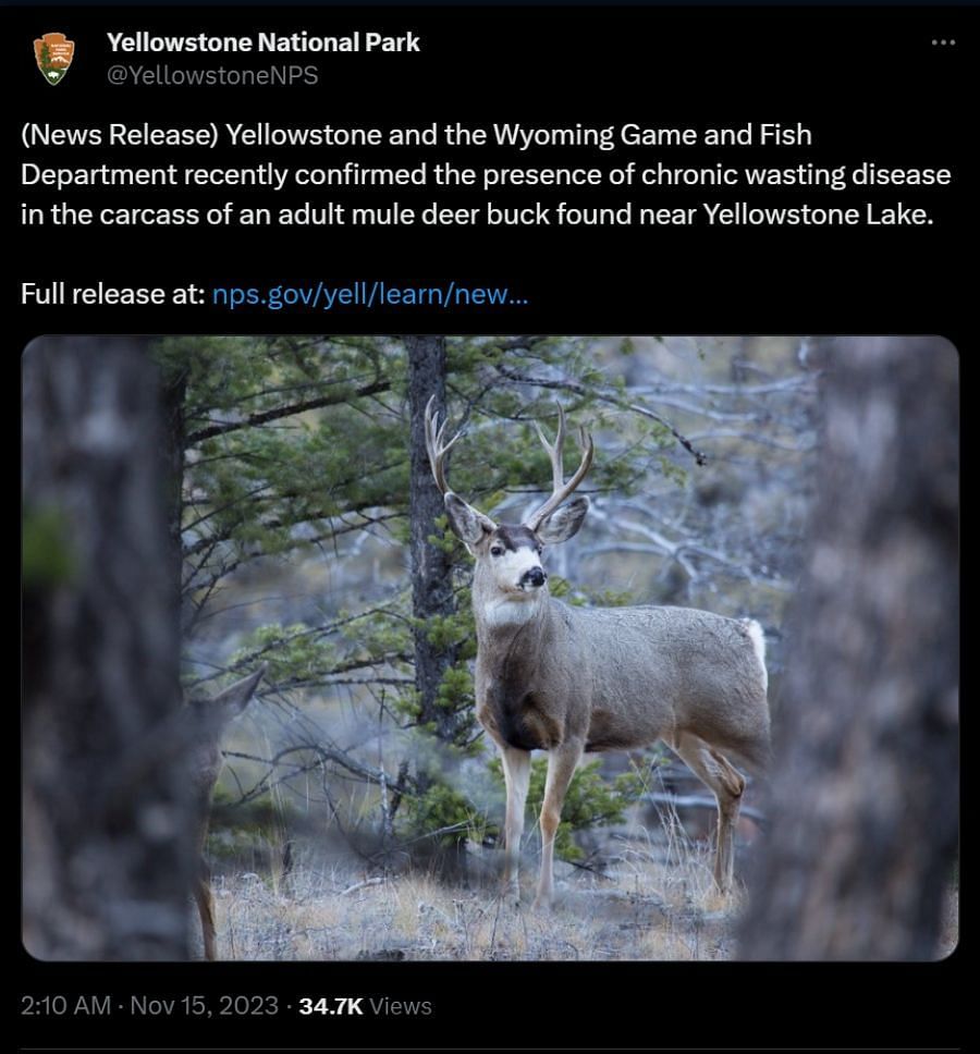 Yellowstone National Park put out a warning (Image via X/@YellowstoneNPS)